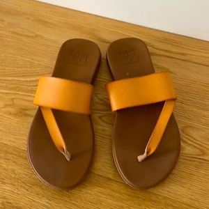 Never worn reef flip flop sandals